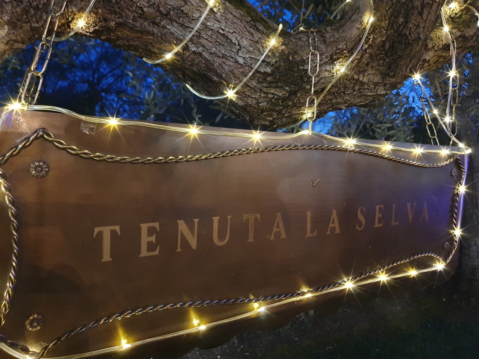 Tenuta La Selva